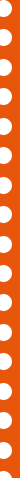 Close-up of a strip of orange film negatives with small round sprocket holes on the sides.