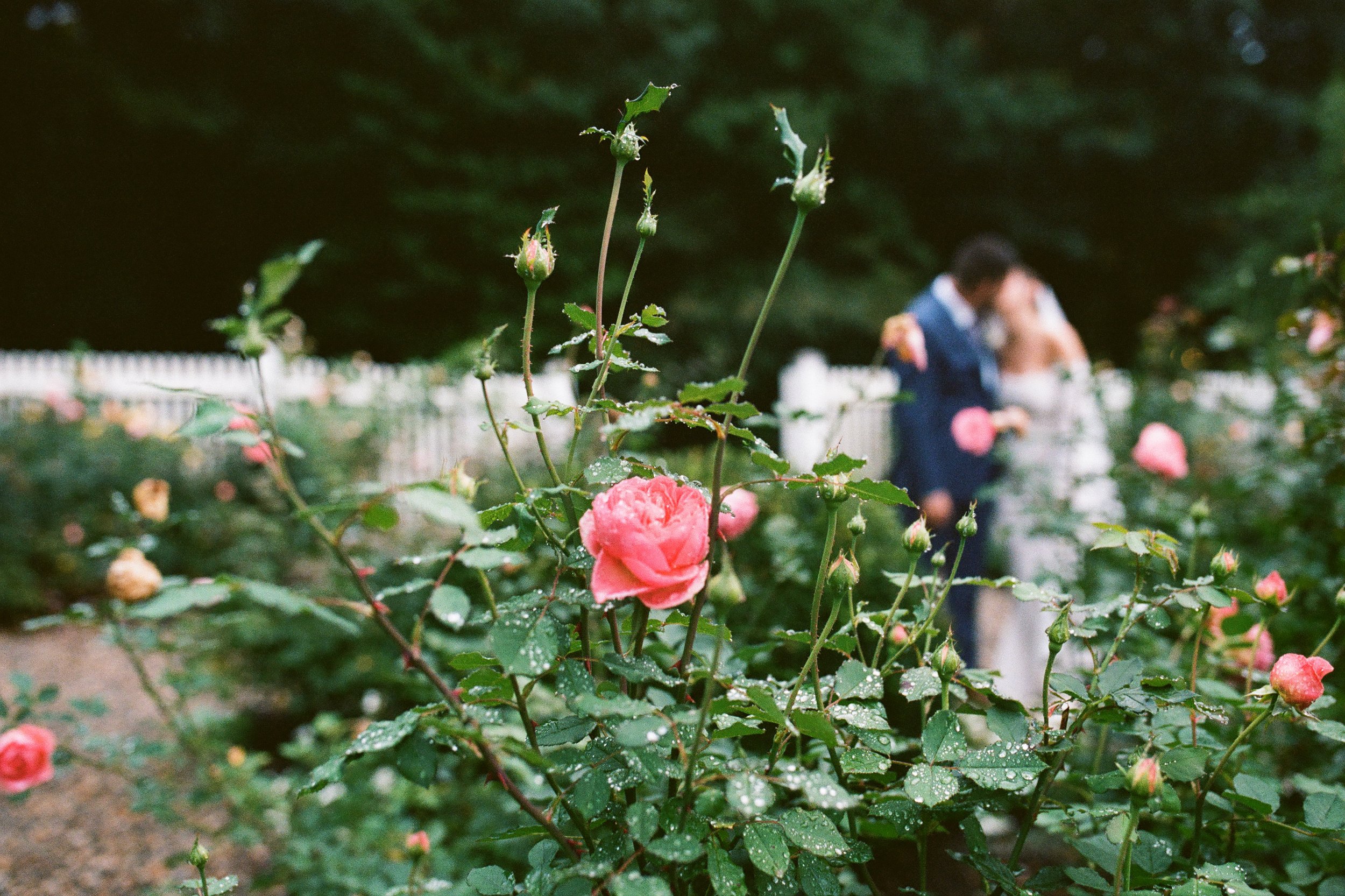 uncanoonuc_gardens_analog_wedding_film_scans_A&S-MELTATAPHOTOGRAPHY-20231016574.jpeg
