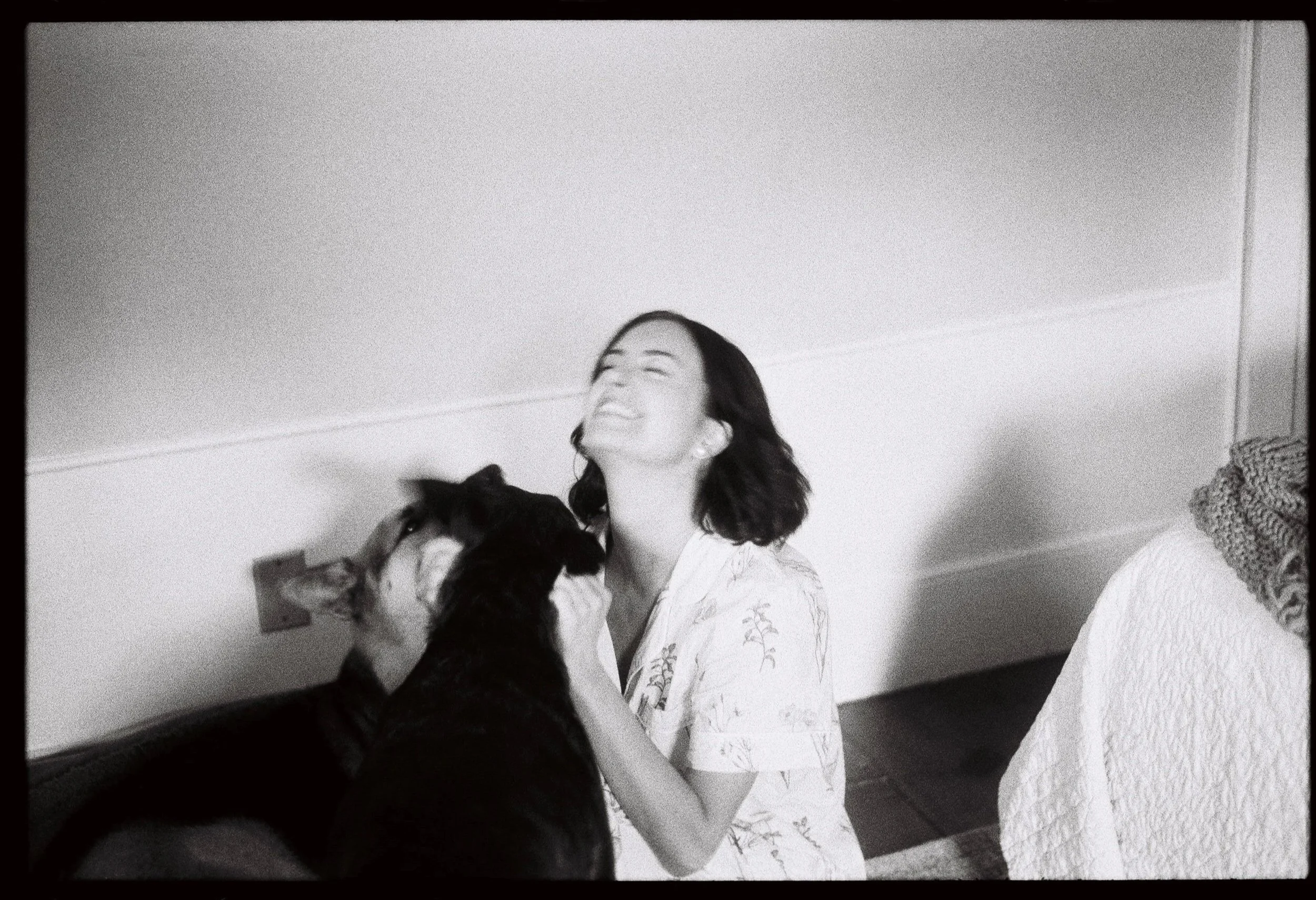 A person laughing as they crouch down and pet dogs