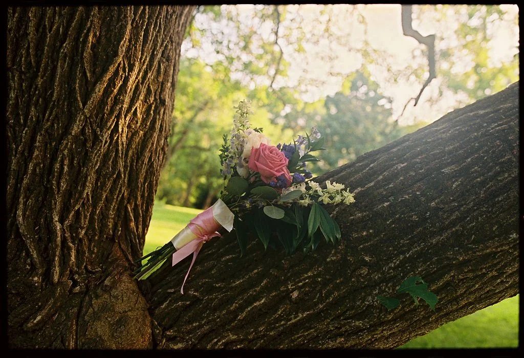 ALLIESHANON-6-12-2026-MELTATAPHOTOGRAPHY-83.jpg