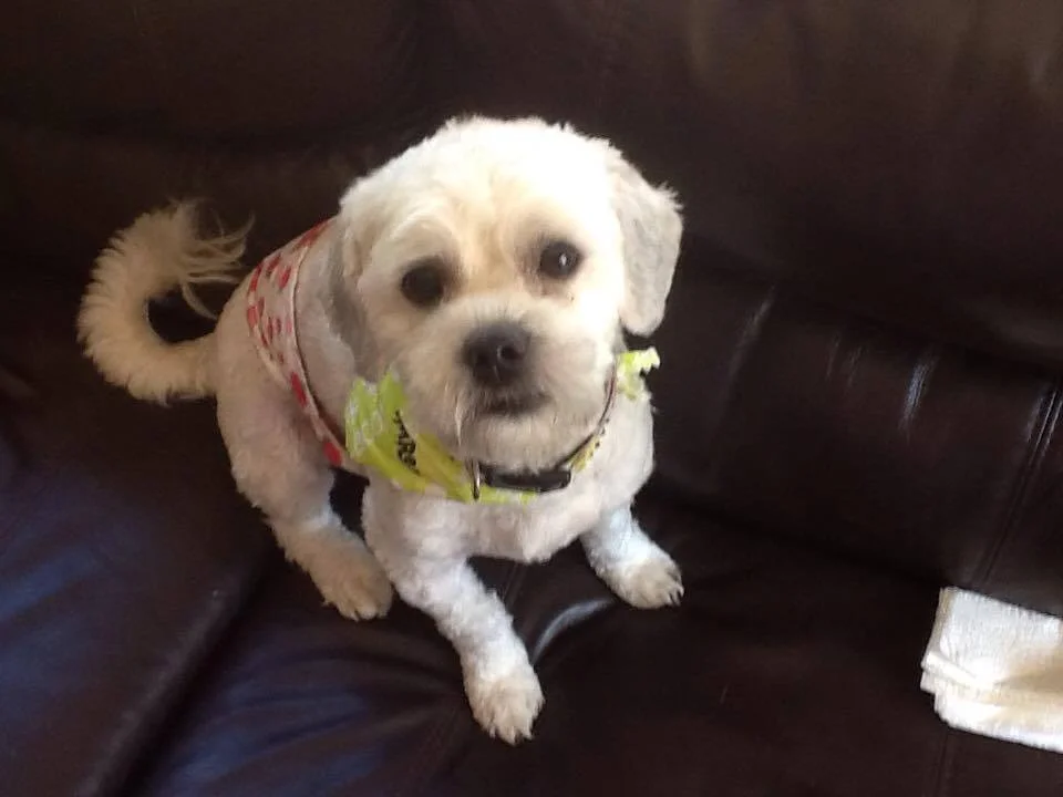 buddy2.jpg