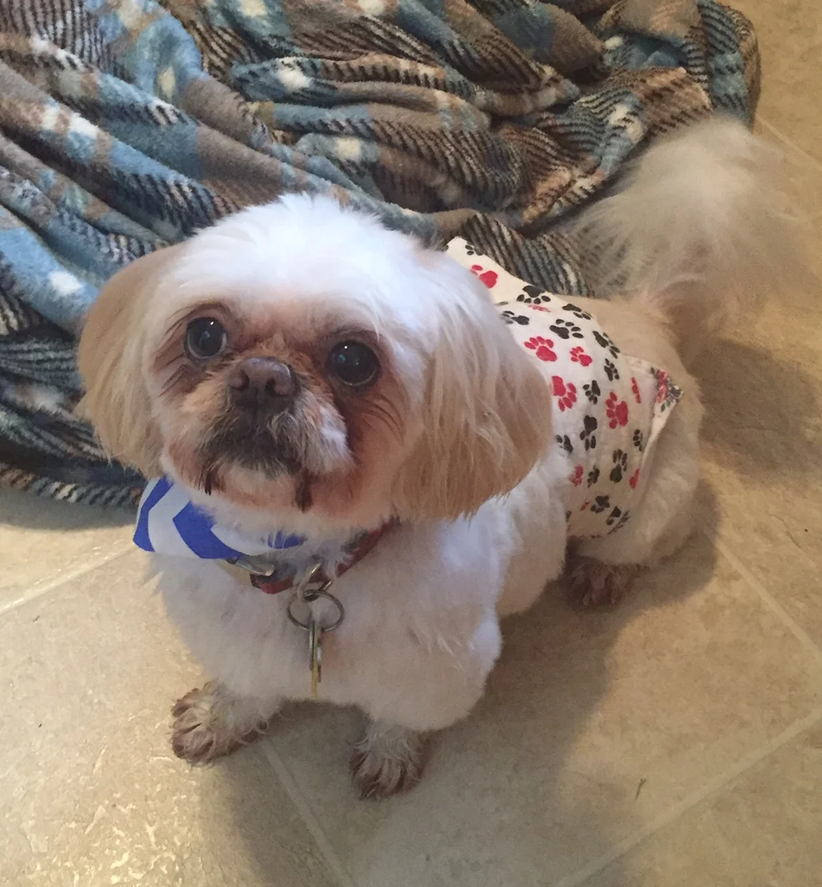 Buddy4.jpg