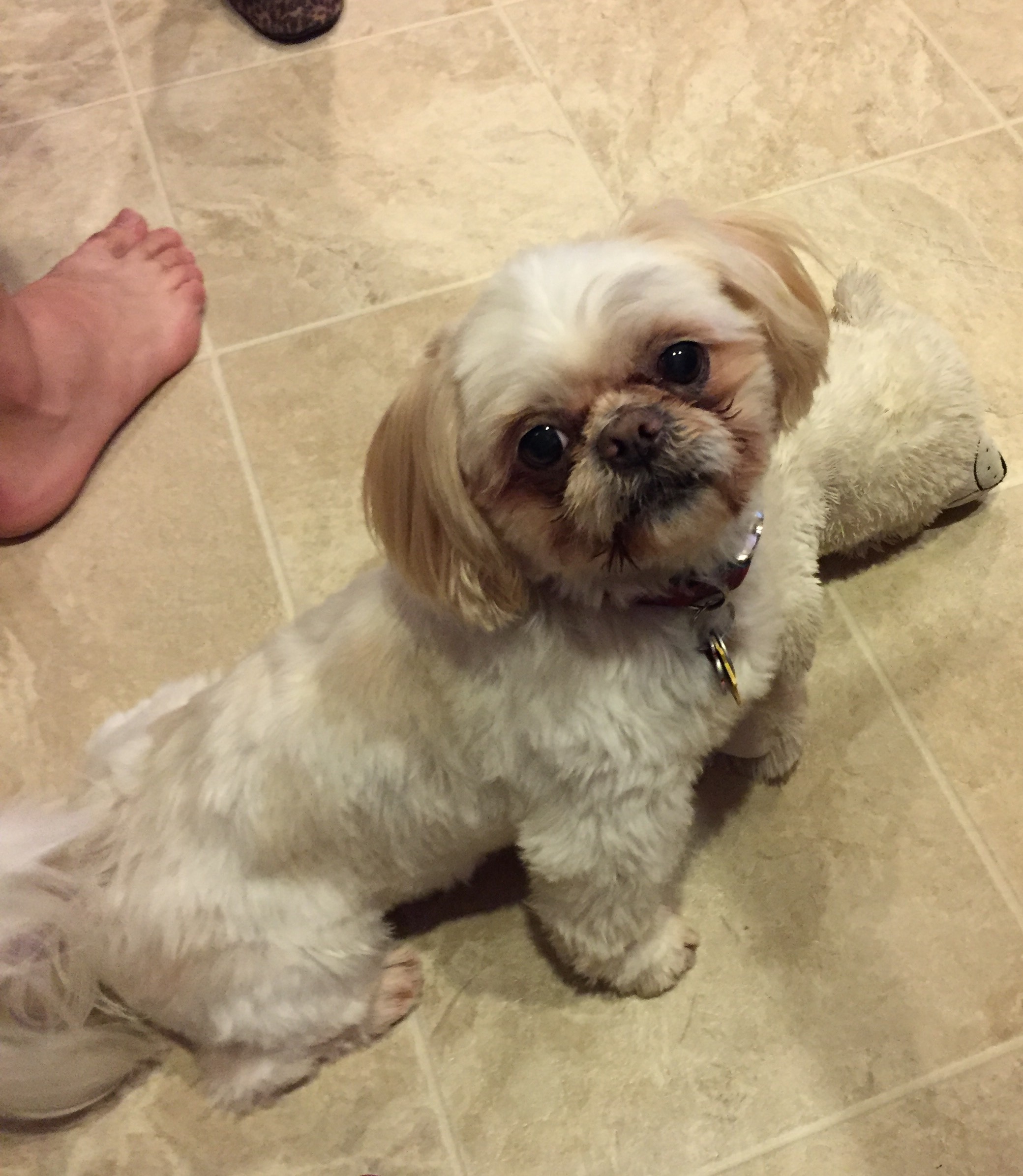 buddy7.jpg