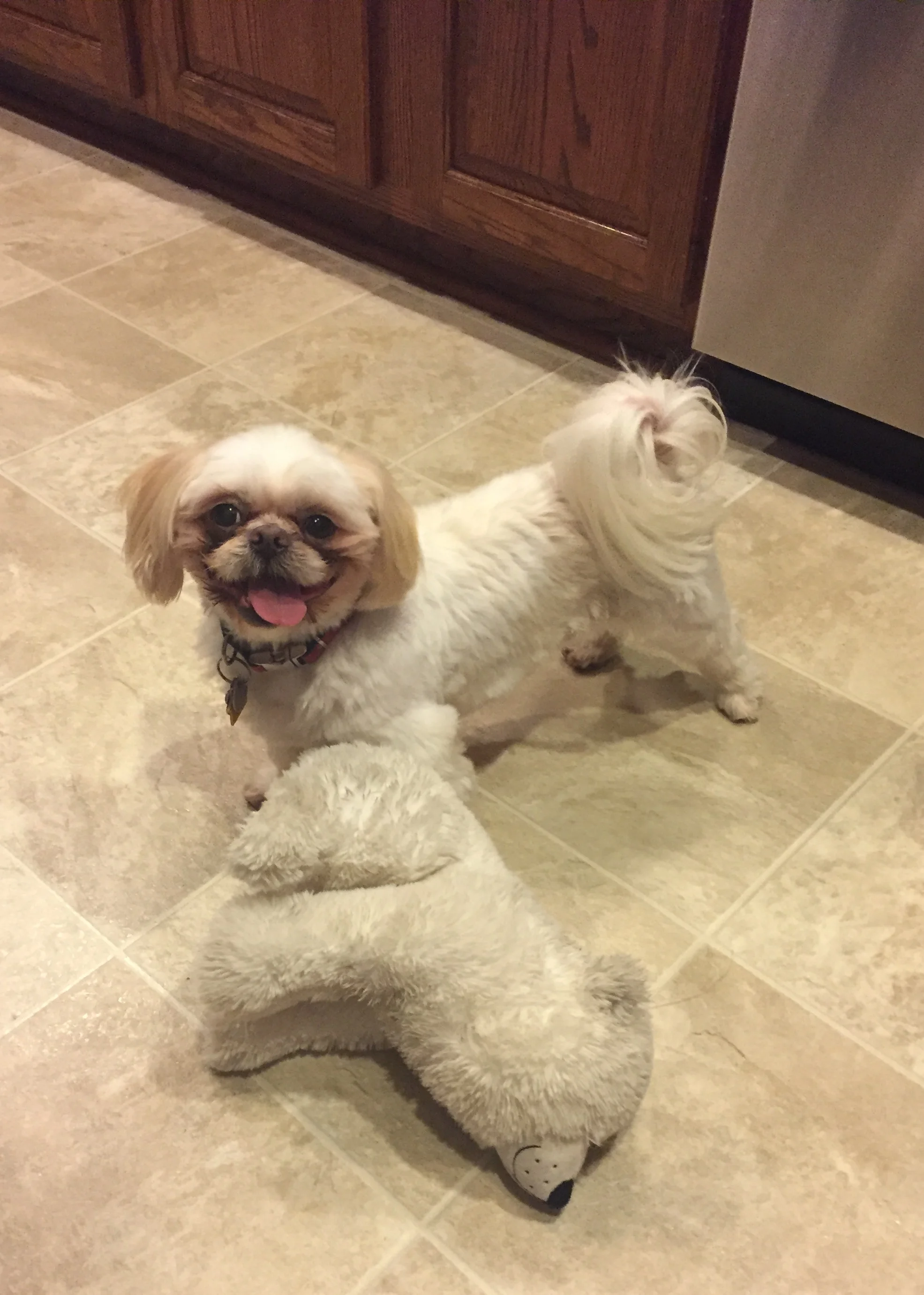 buddy8.jpg