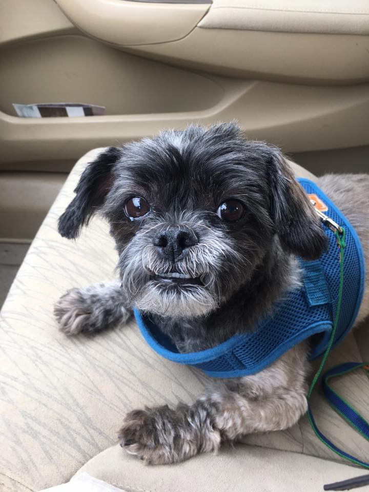 peanut.jpg