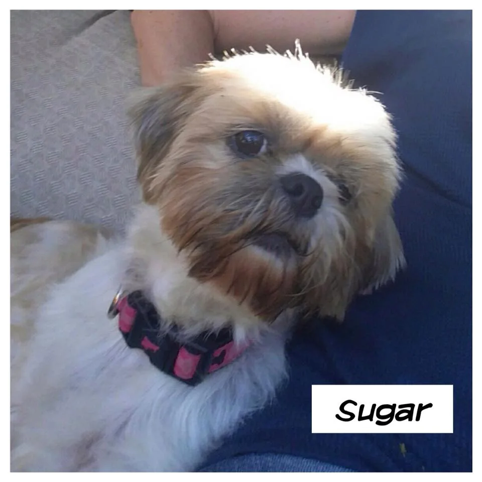 sugar.jpg