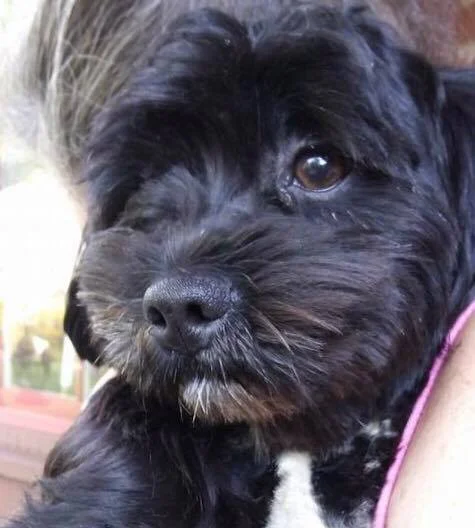 cooper3.jpg