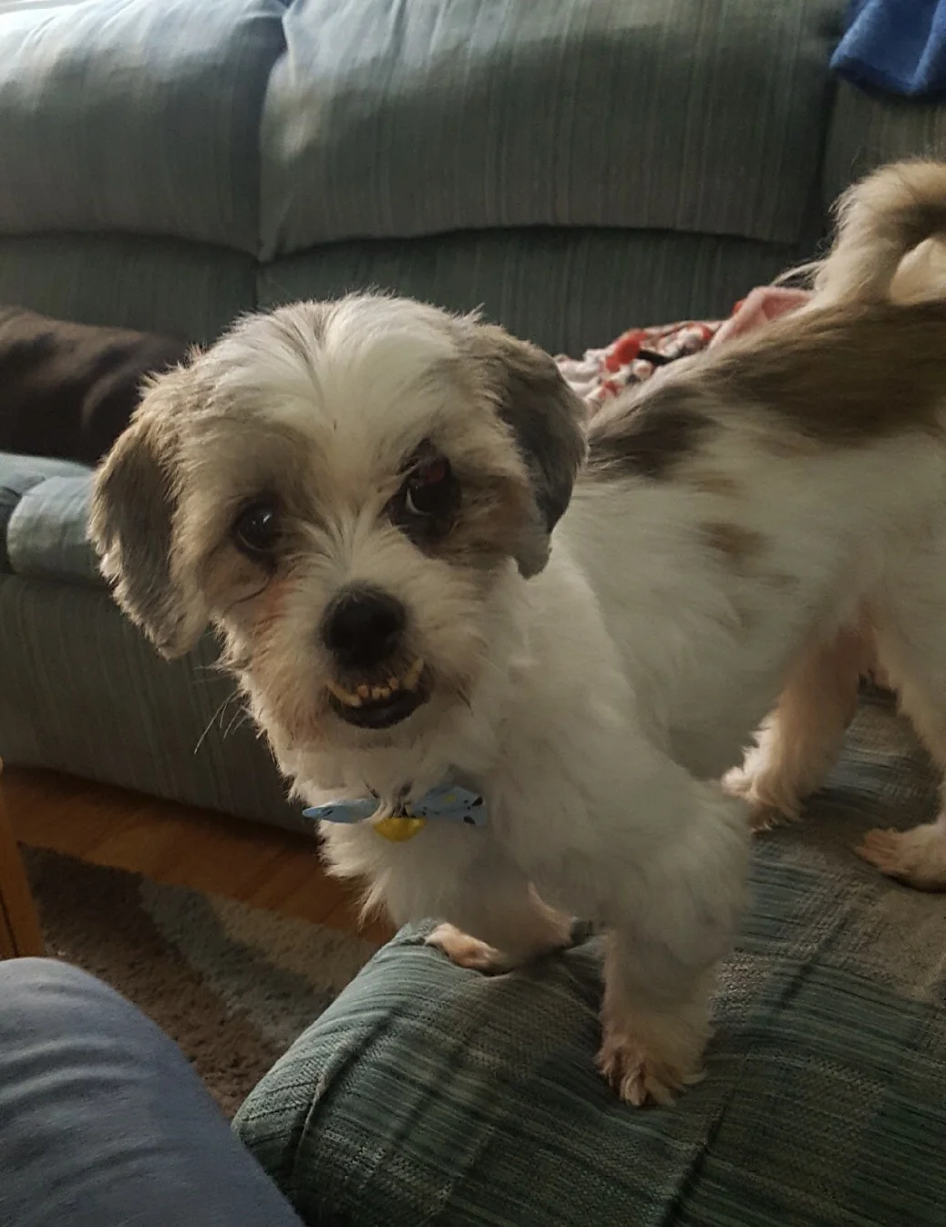 coco1.jpg
