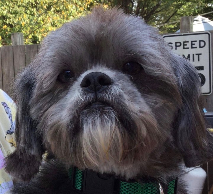 baxter1.jpg