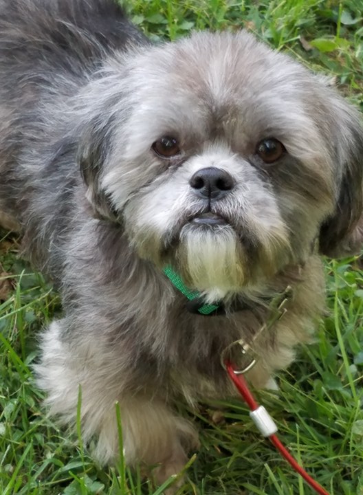 baxter1.jpg