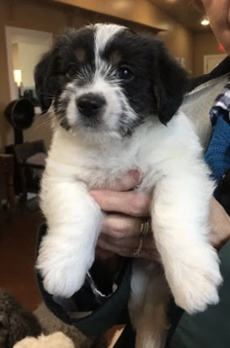 sammy1.jpg
