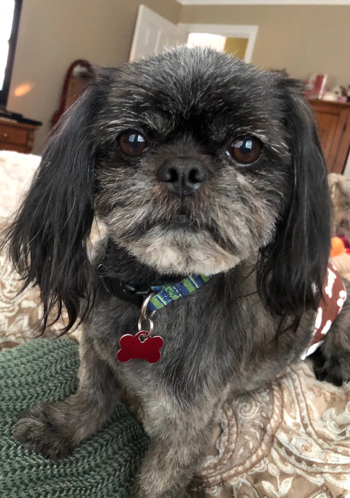 louie5.jpg