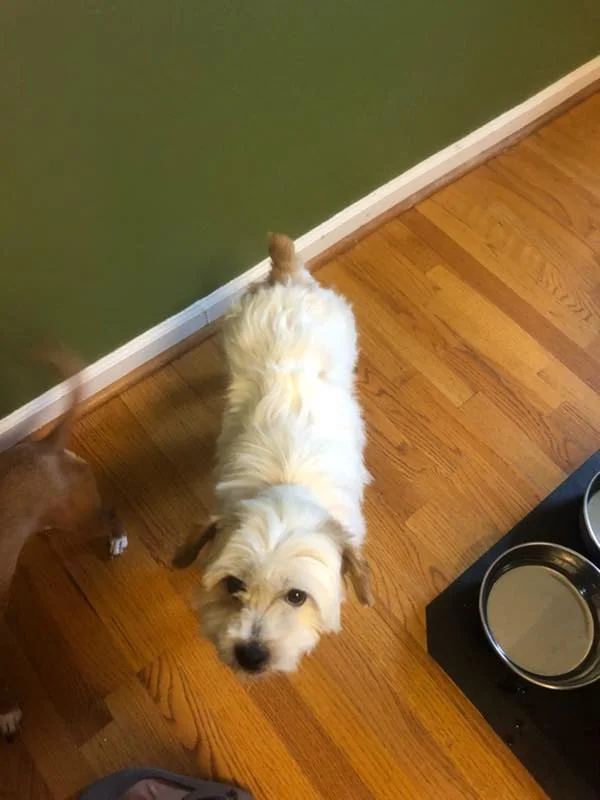 riley5.jpg