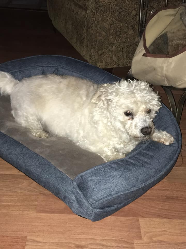 buddy1.jpg