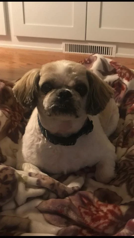 Max.jpg