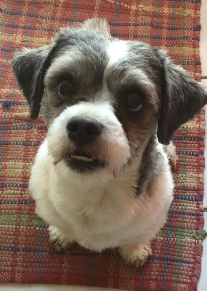 barkfield.jpg