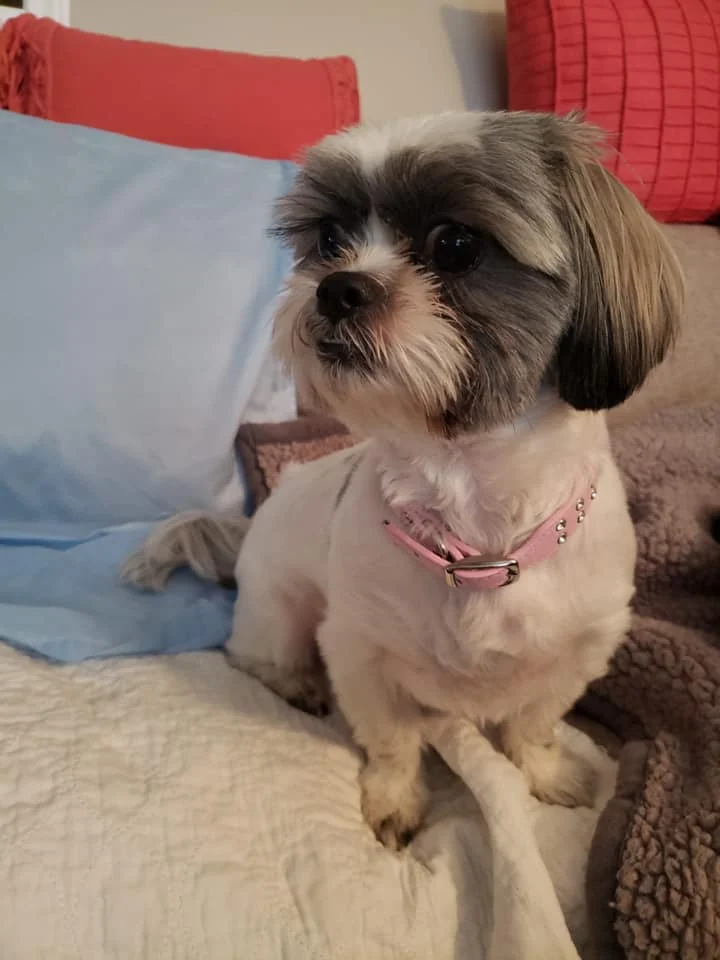 holly1.jpg