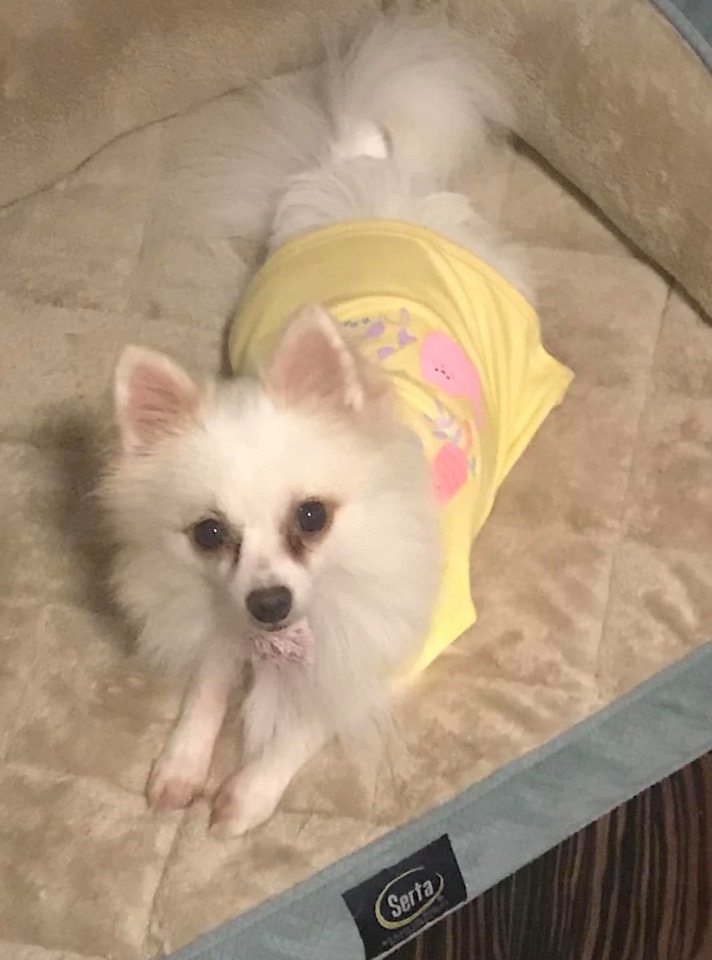 lexi1.jpg