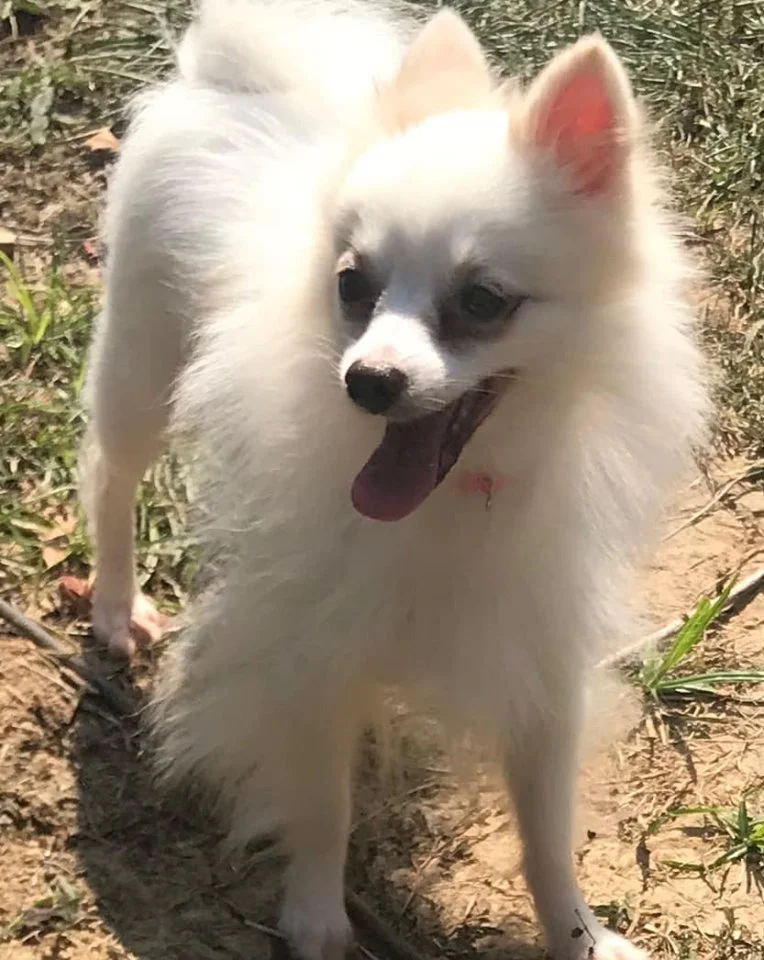 lexi5.jpg