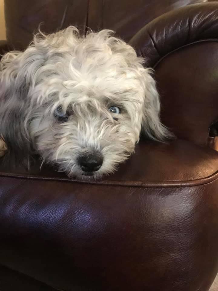 marlee1.jpg