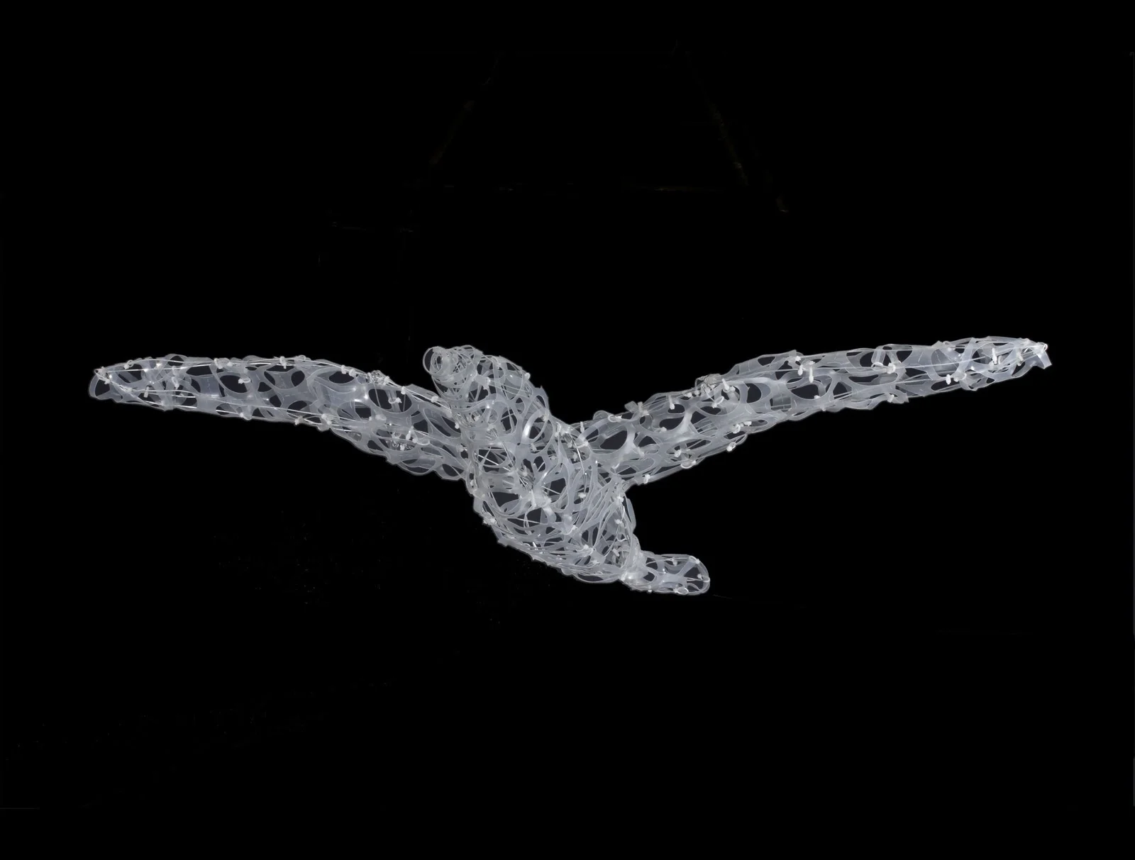 September: Plastic Ring Seagulls Workshop