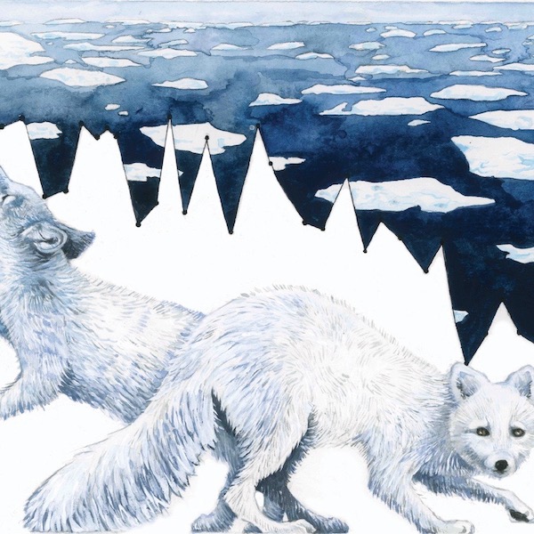 Habitat Degradation: Arctic Sea Ice Melt