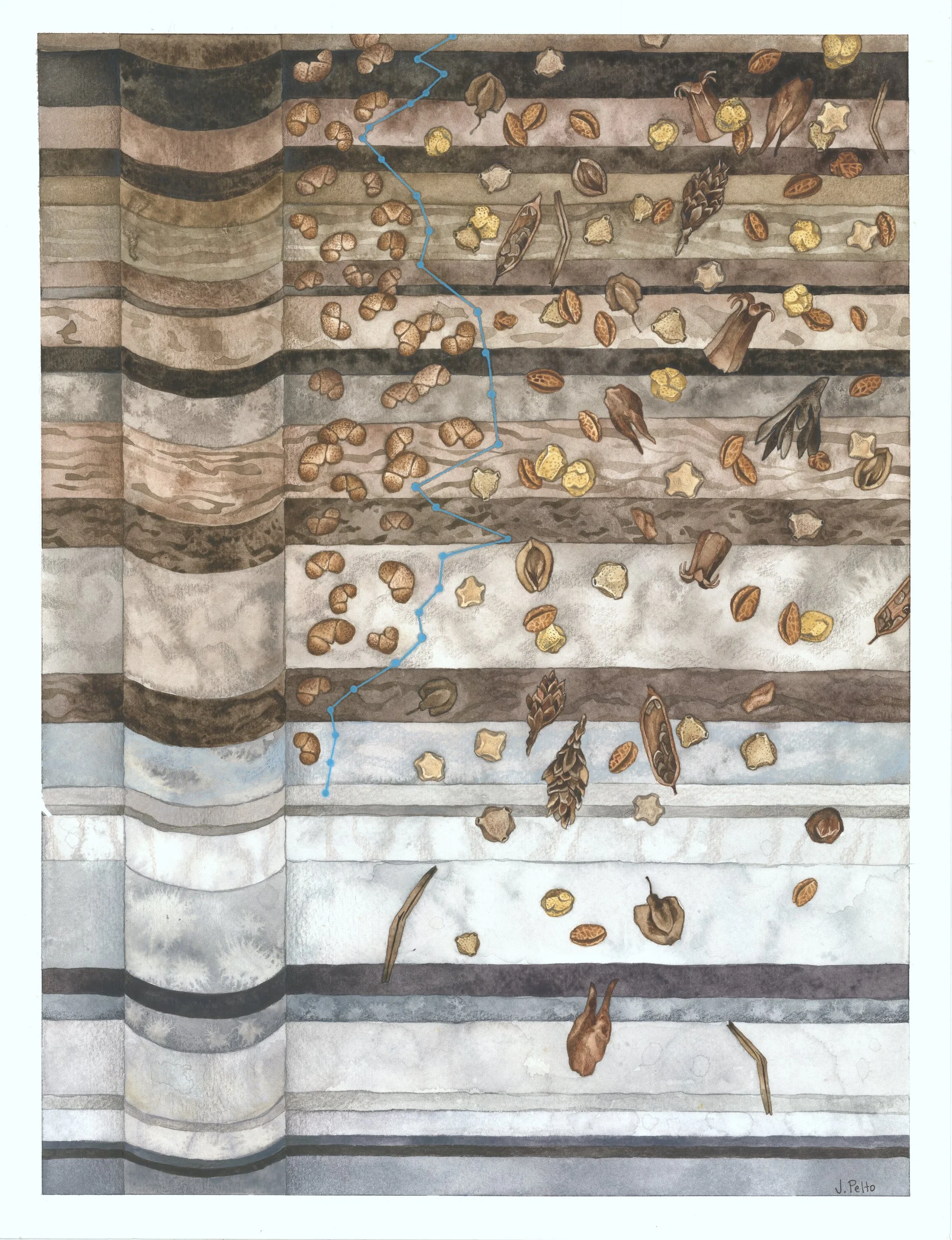 Core Pollen — Jill Pelto Art