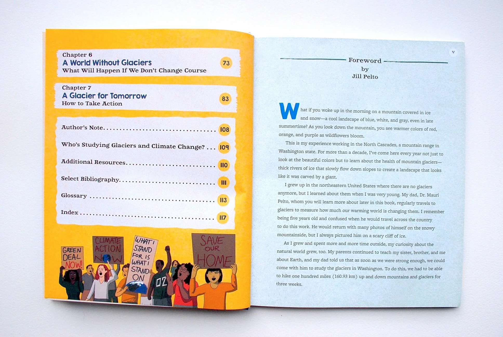  Meltdown by Anita Sanchez, illustrated by Lily Padula. Book forward by Jill Pelto 