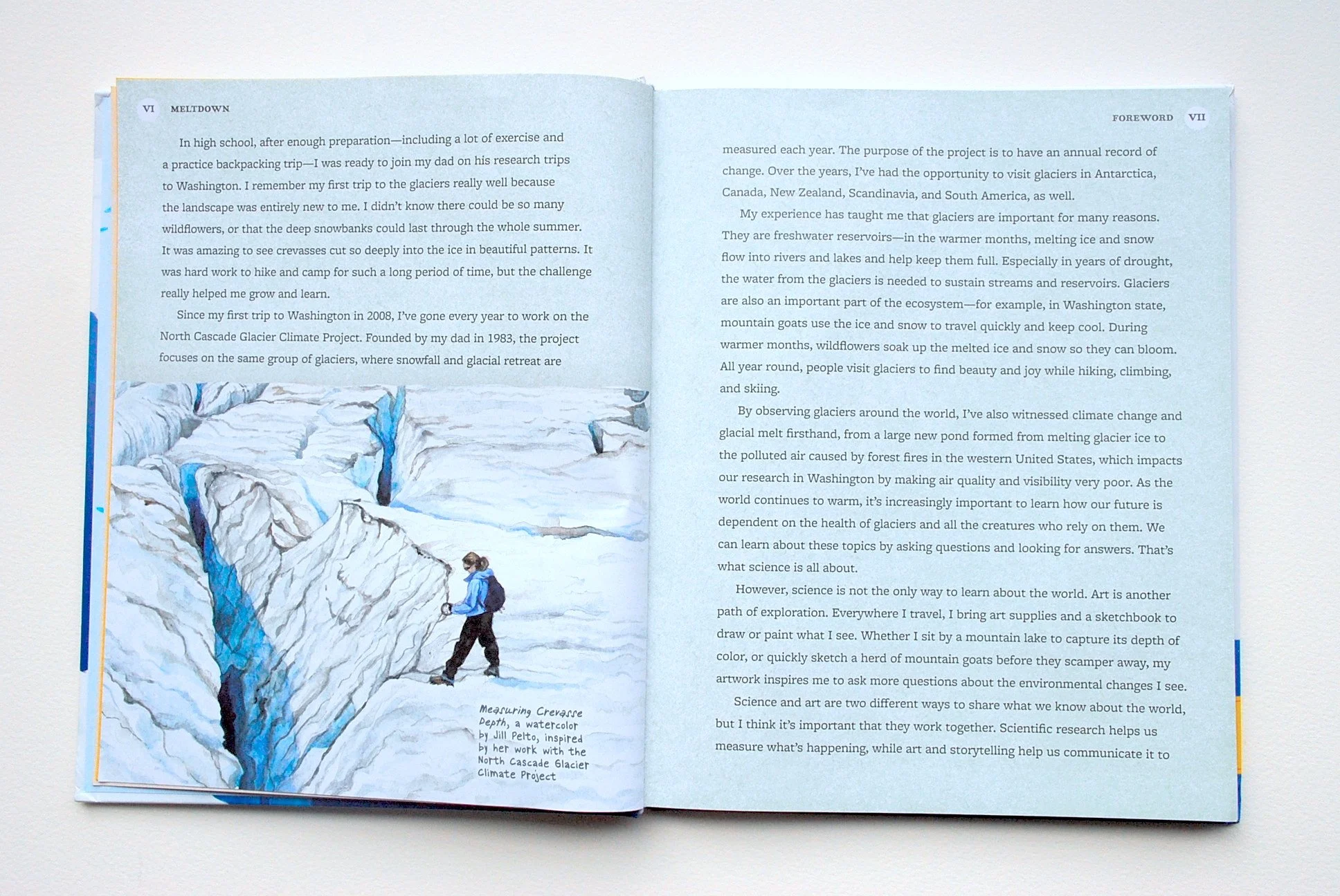  Meltdown by Anita Sanchez, illustrated by Lily Padula. Book forward by Jill Pelto 