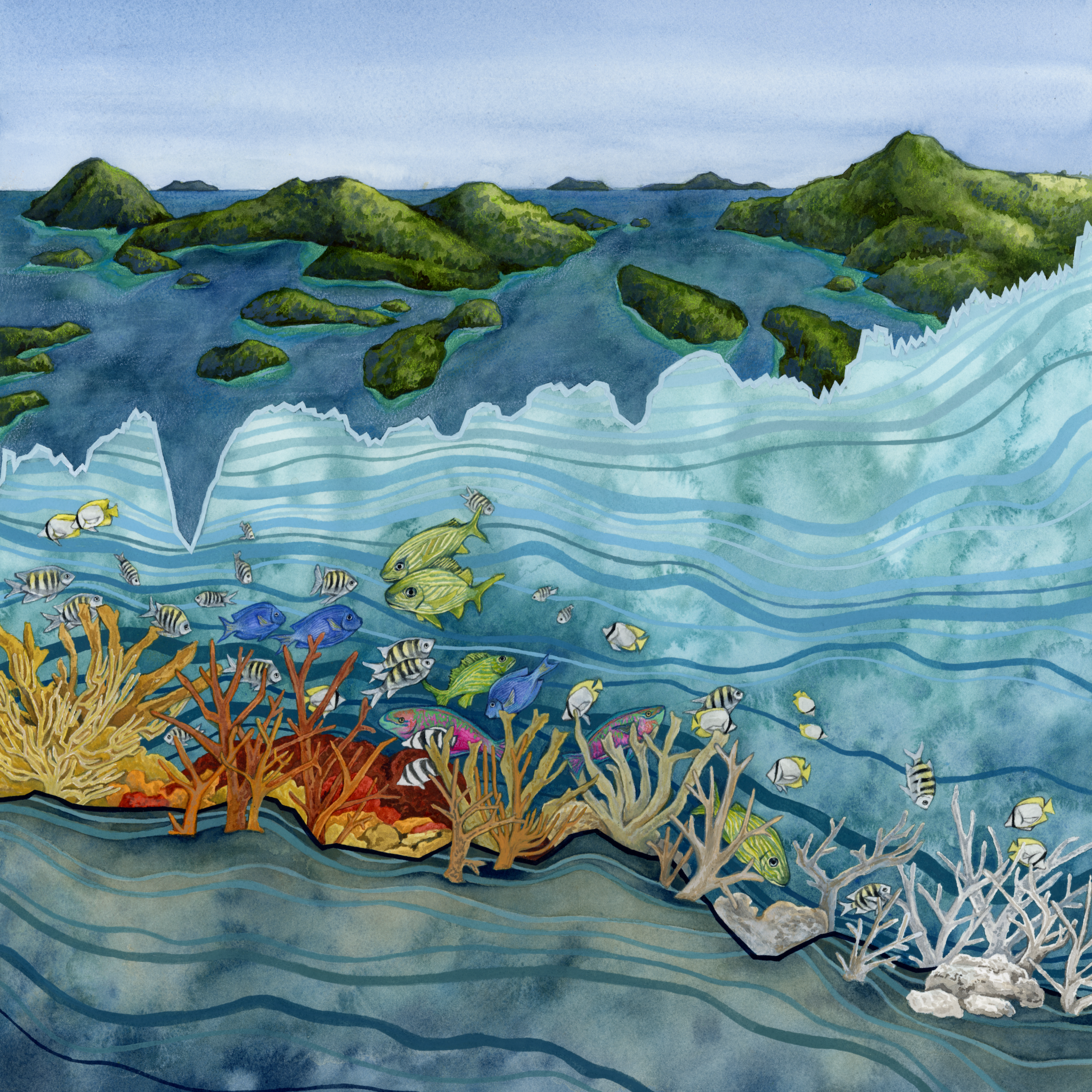 Coral+small.png