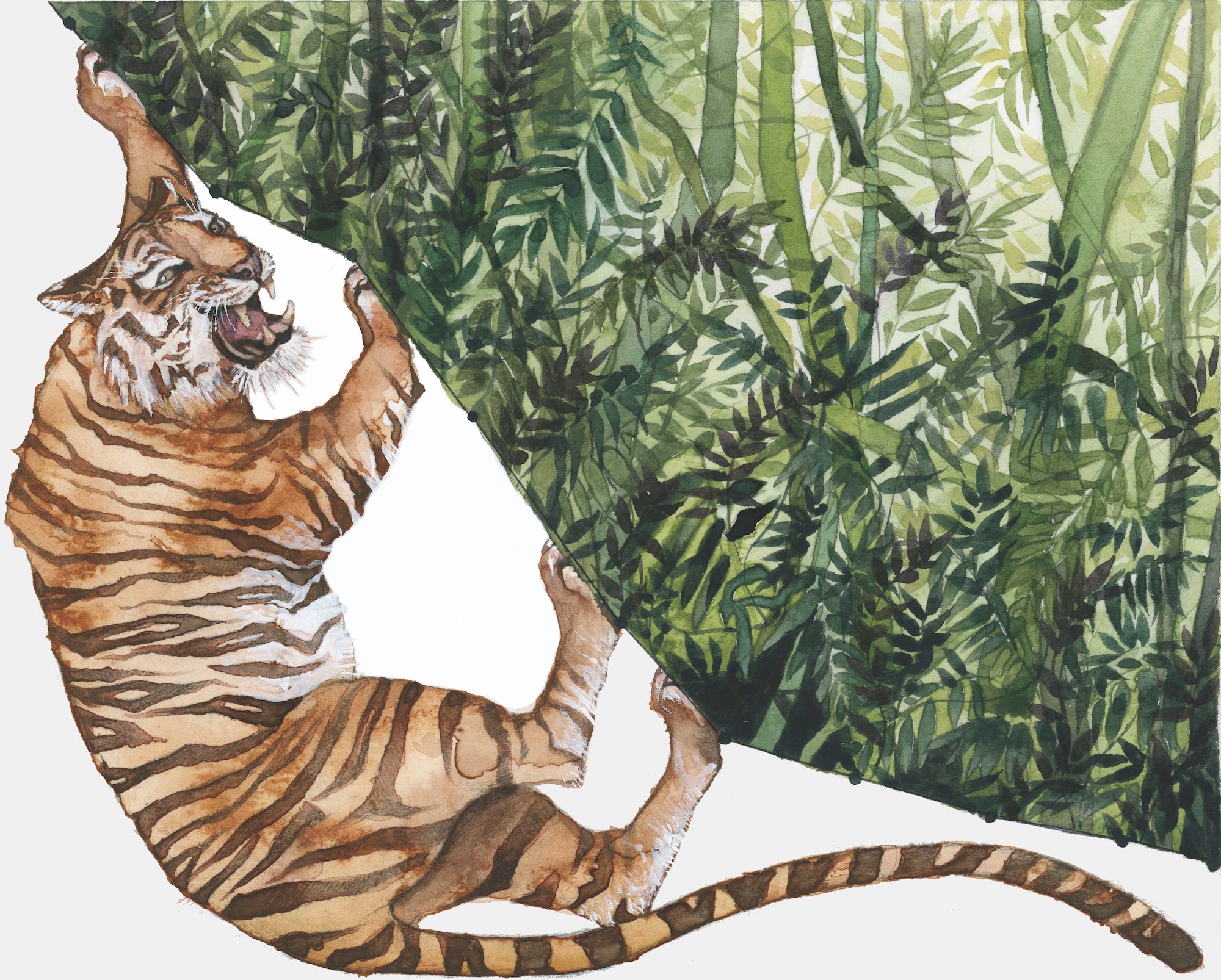 Habitat Degradation_Deforestation_web.jpg