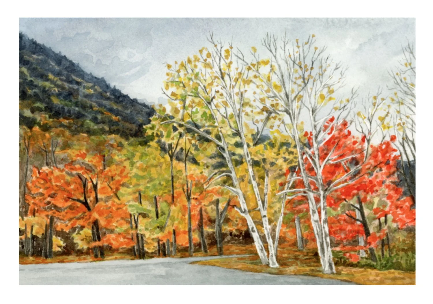 fall trees small.jpg