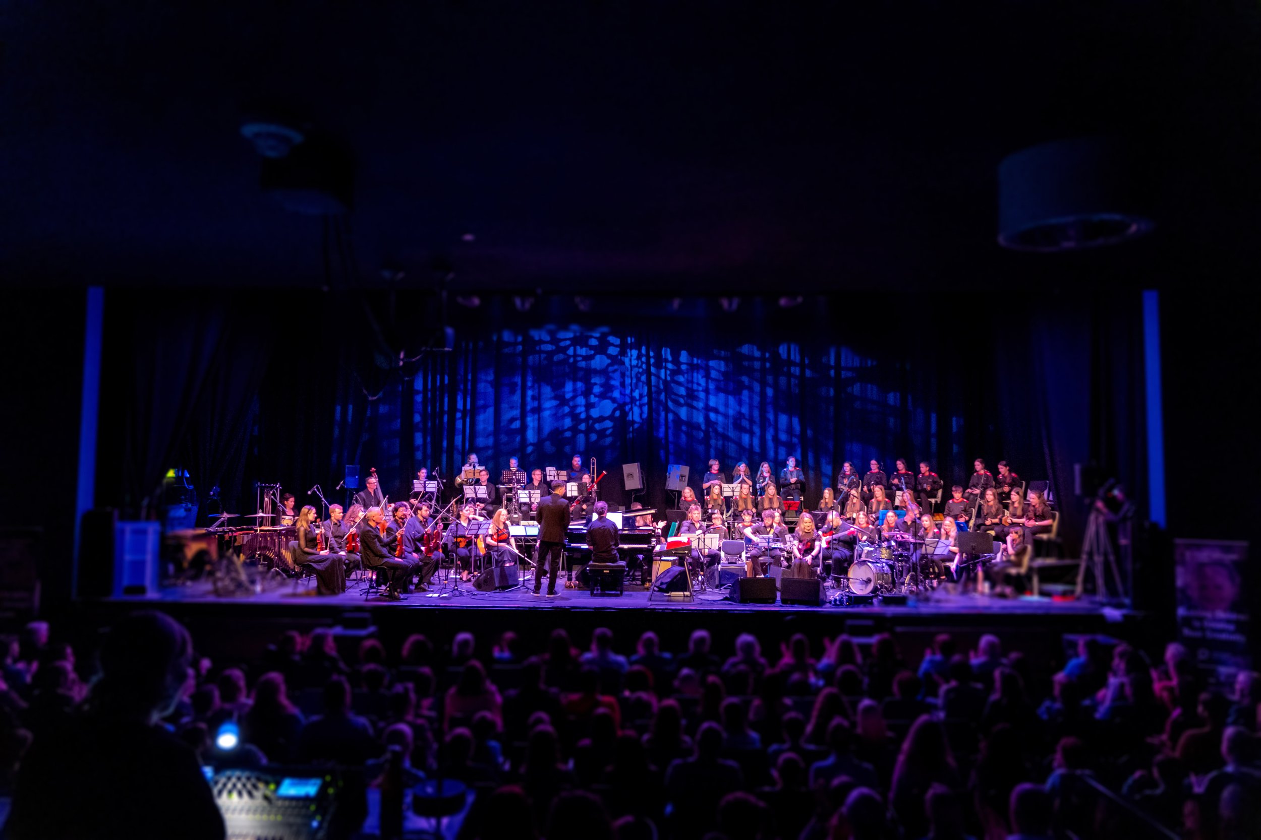 Irish Concertina Orchet=stra.jpg