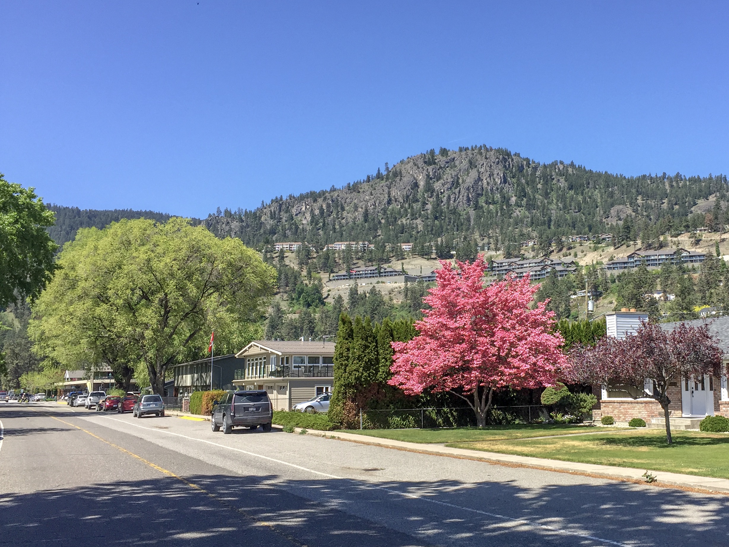 Beach Avenue Neighbourhood Peachland