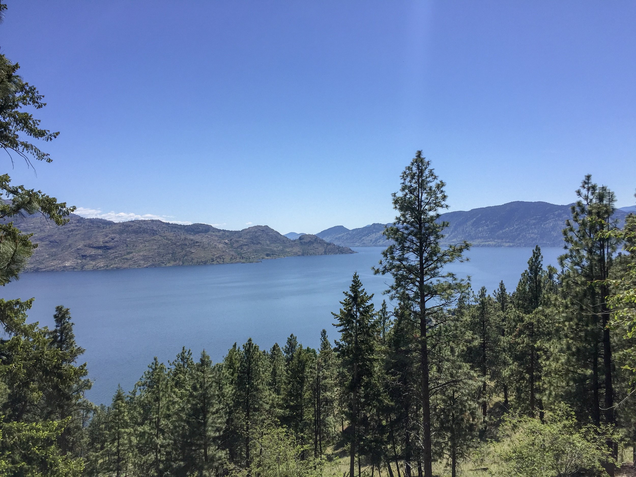 view-okanagan-lake-from-ponderosa-neighbourhood-peachland-joshua-elliott.JPG