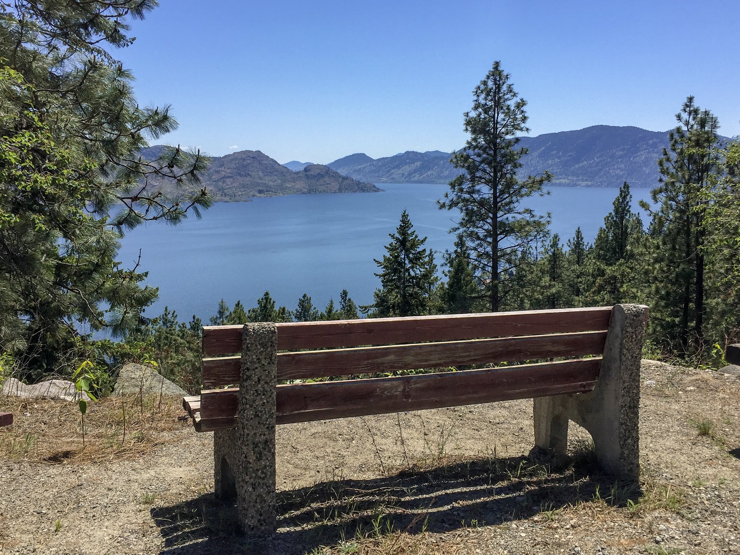 bench-ponderosa-neighbourhood-peachland-joshua-elliott.JPG