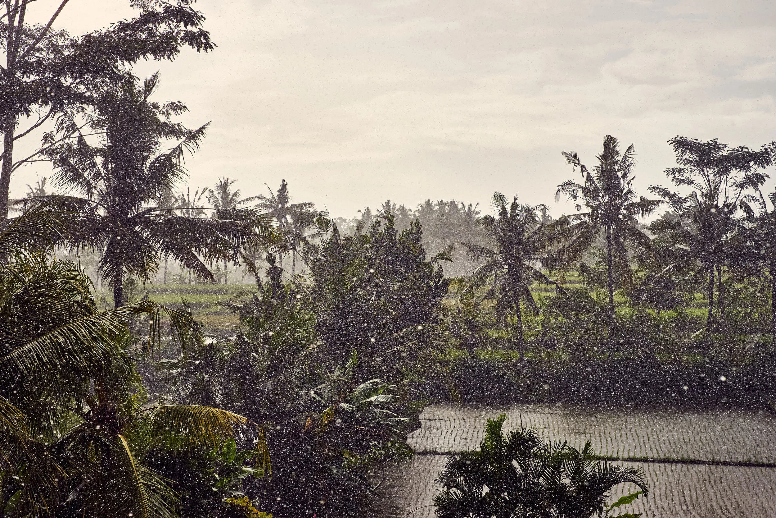Ubud II