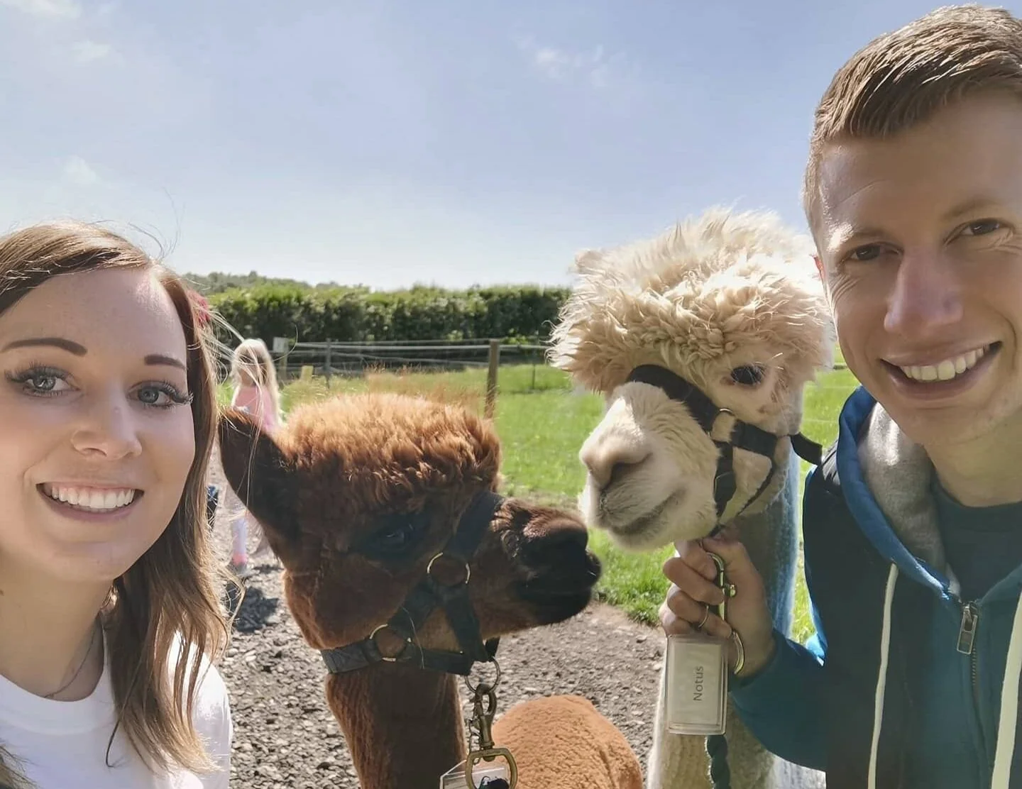Family taking a selfie with alpacas