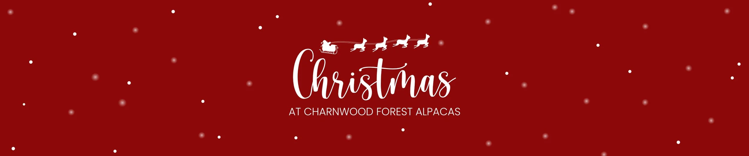 Christmas Website Banner.jpg
