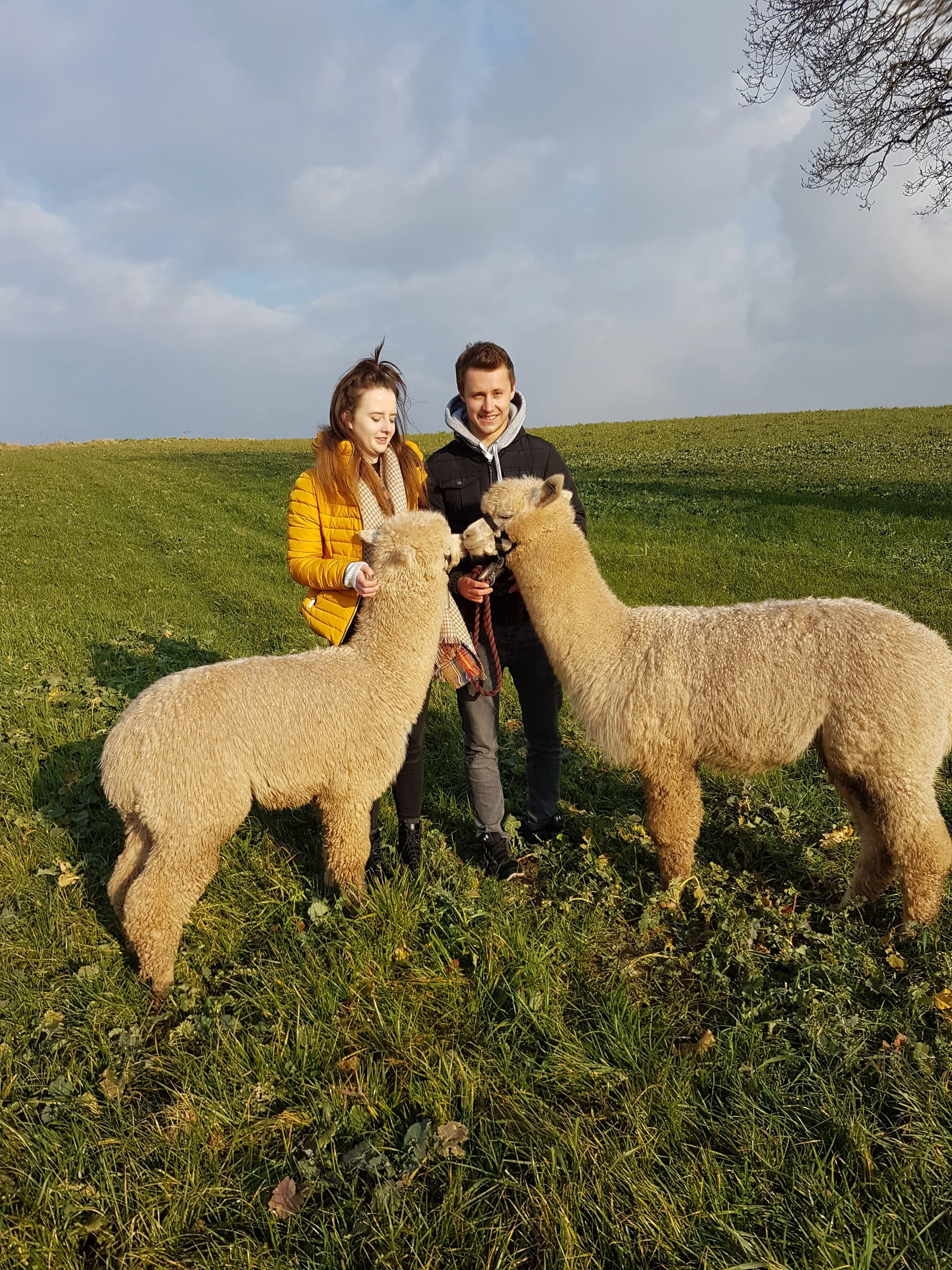 10.2.17 Valentines walk Mustard & Stanford (2).jpg