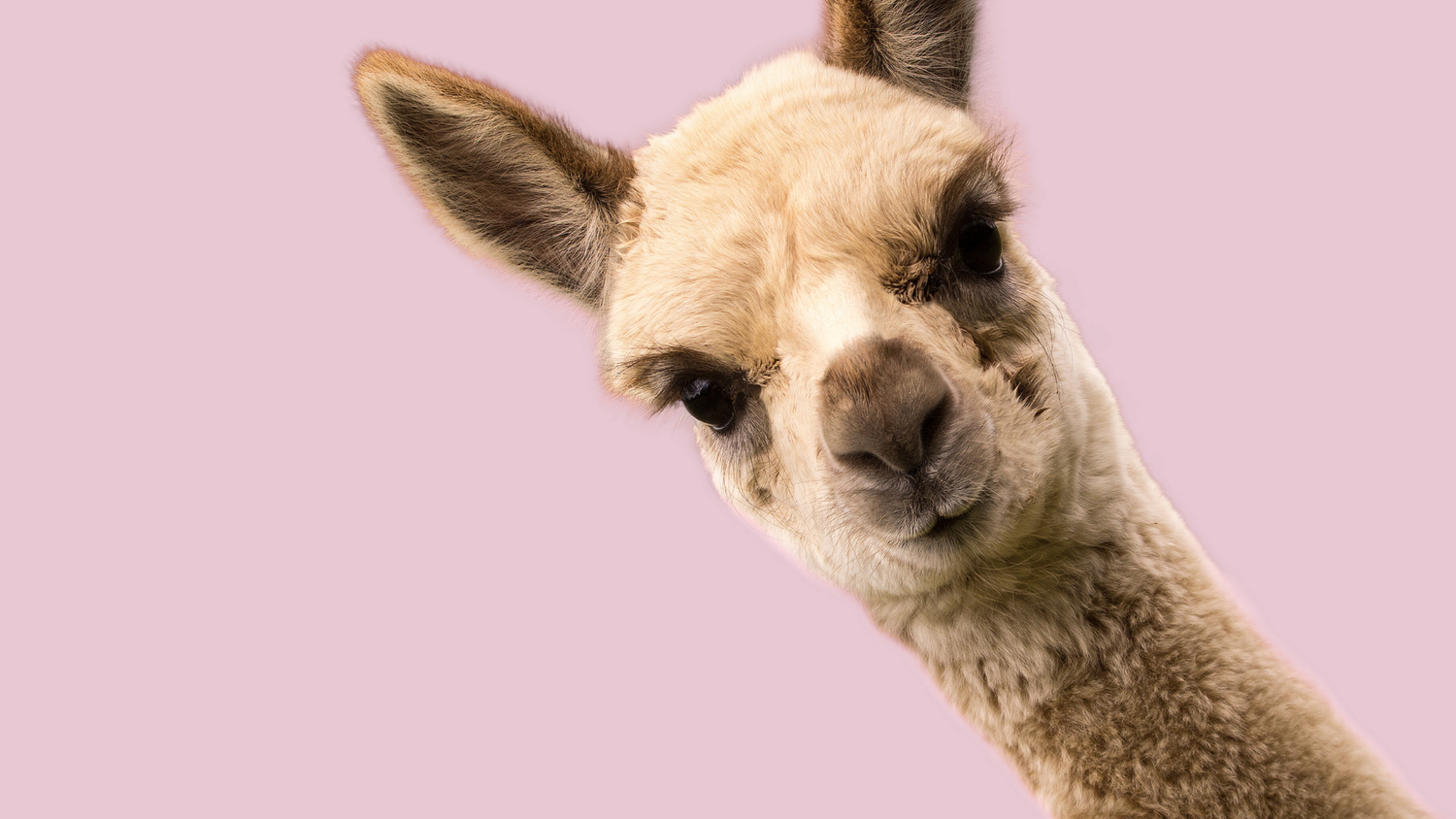 Easter fun on the farm