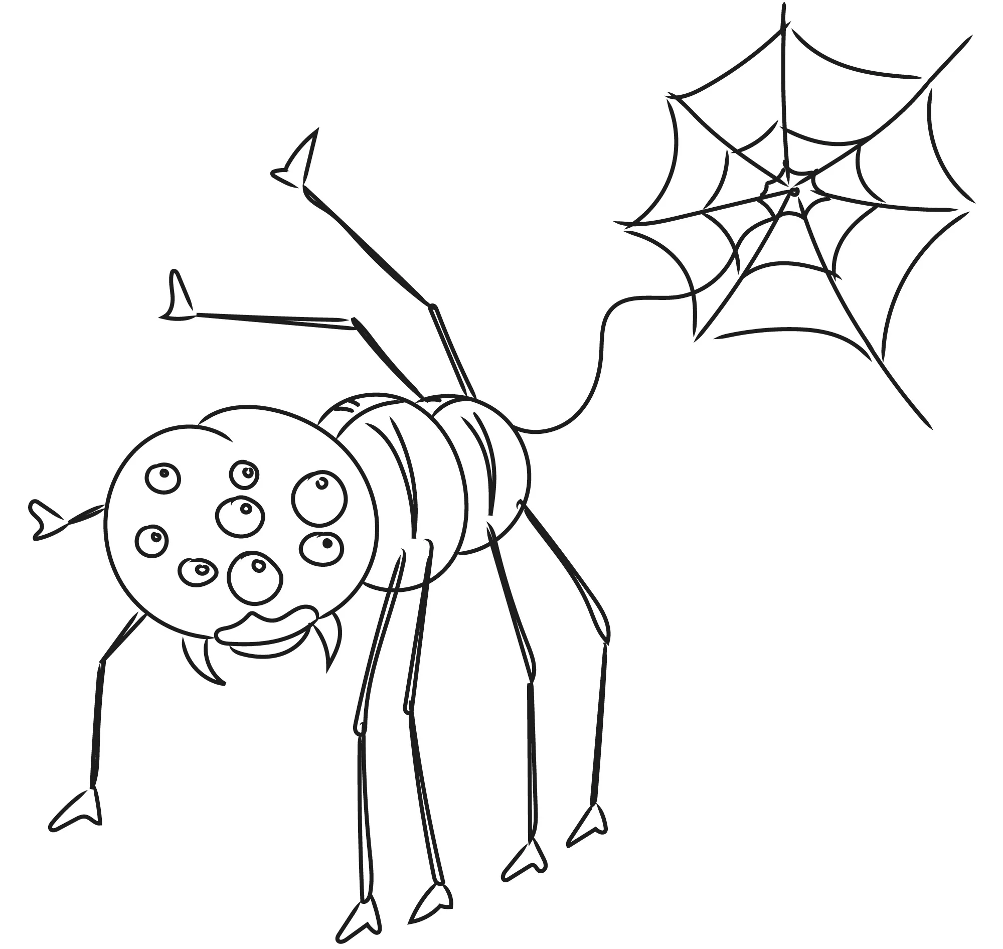 rp14_spinne.jpg