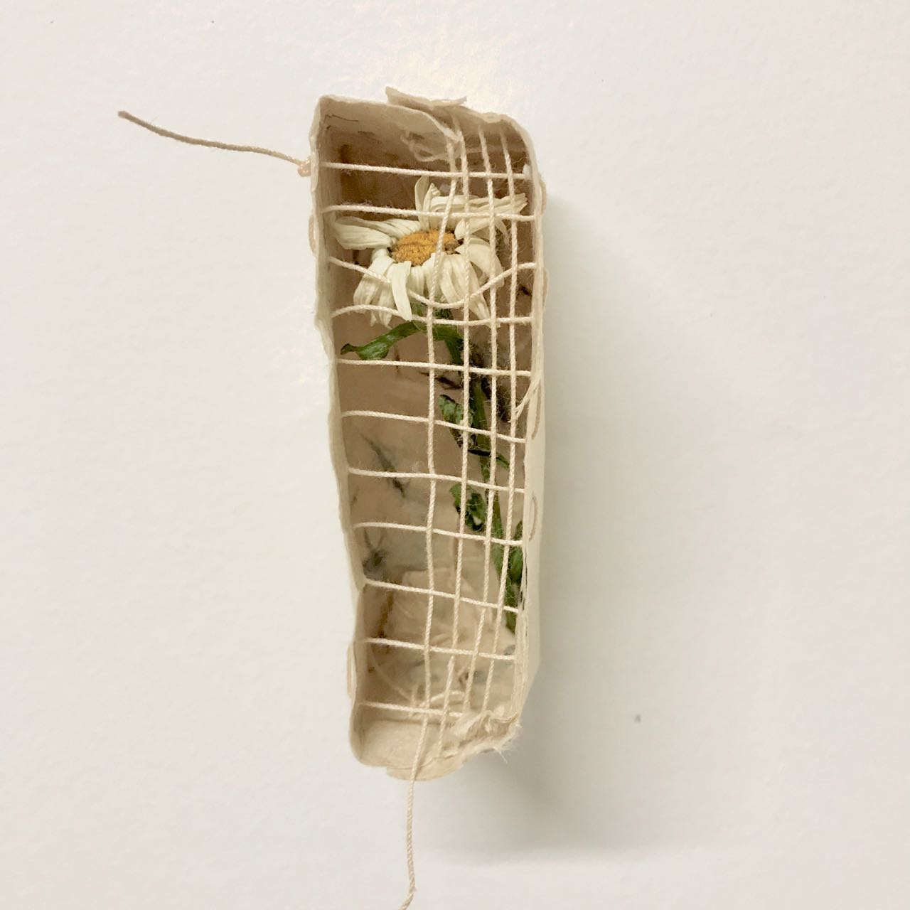 to collect/to protect/to contain/ to control (memories I)