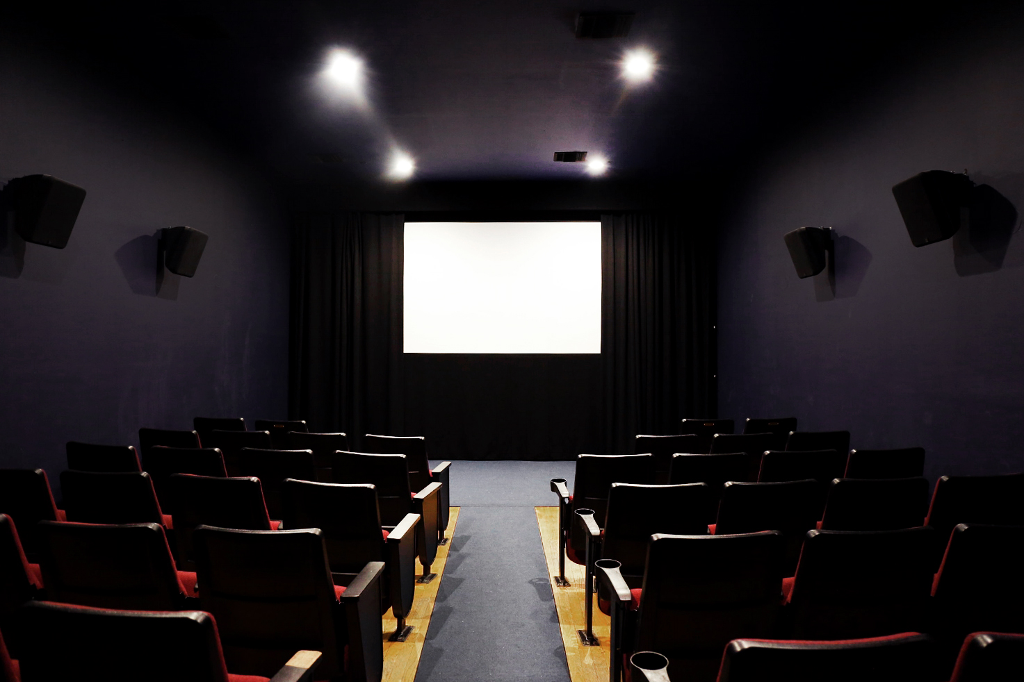 Maysles Cinema Rental