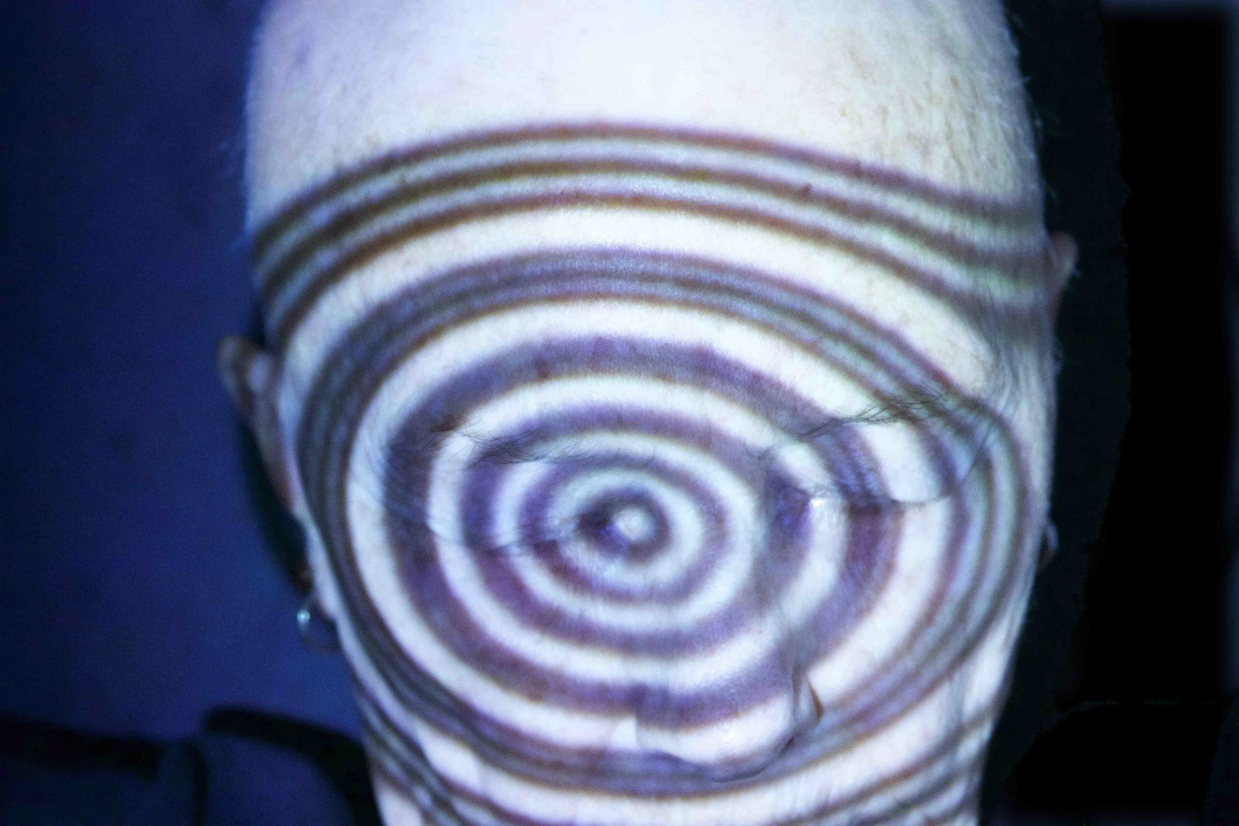 Image Courtesy of the Barbara Hammer Estate and Electronic Arts Intermix (EAI), New York.