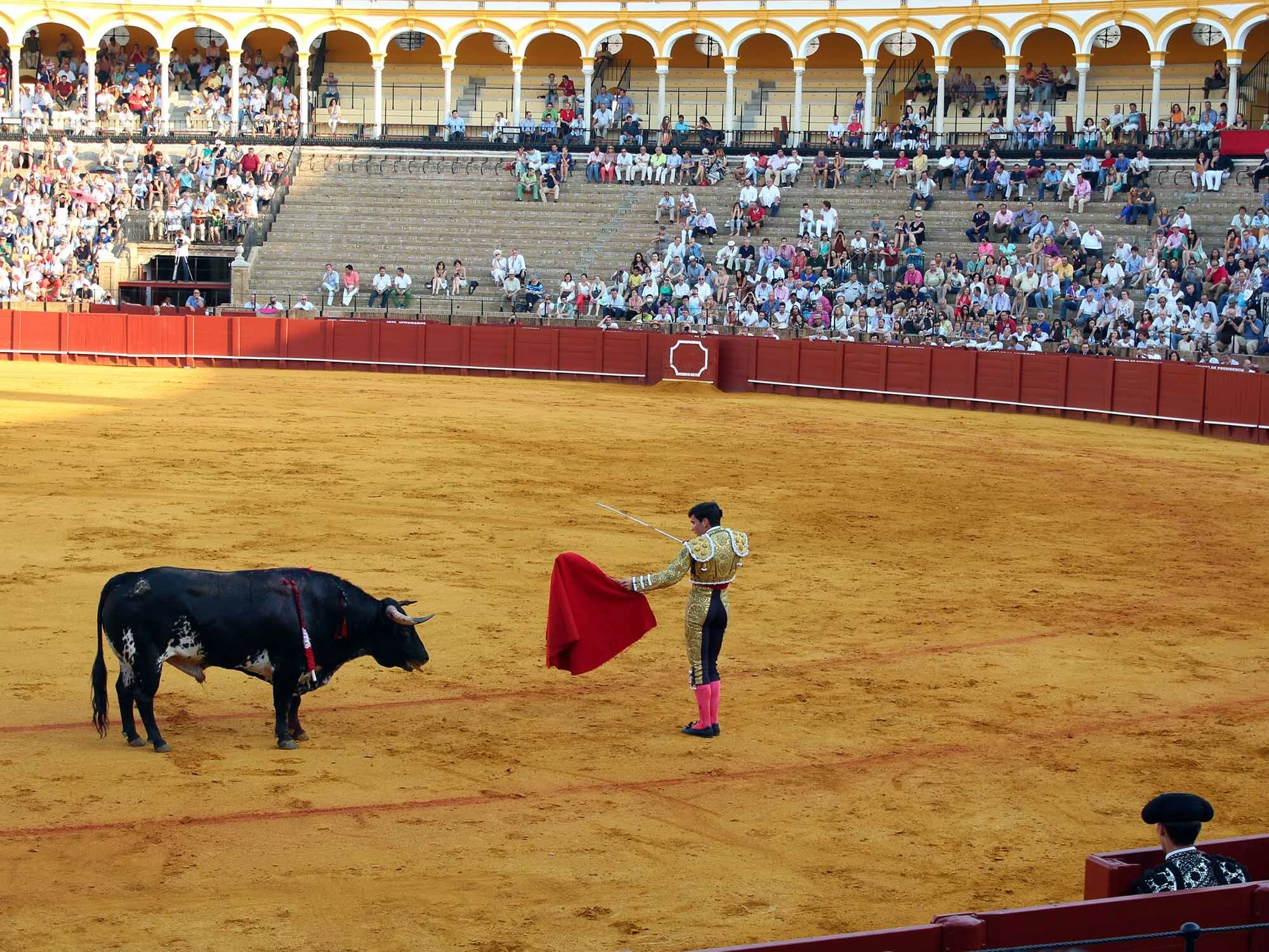 Spain Seville Matador