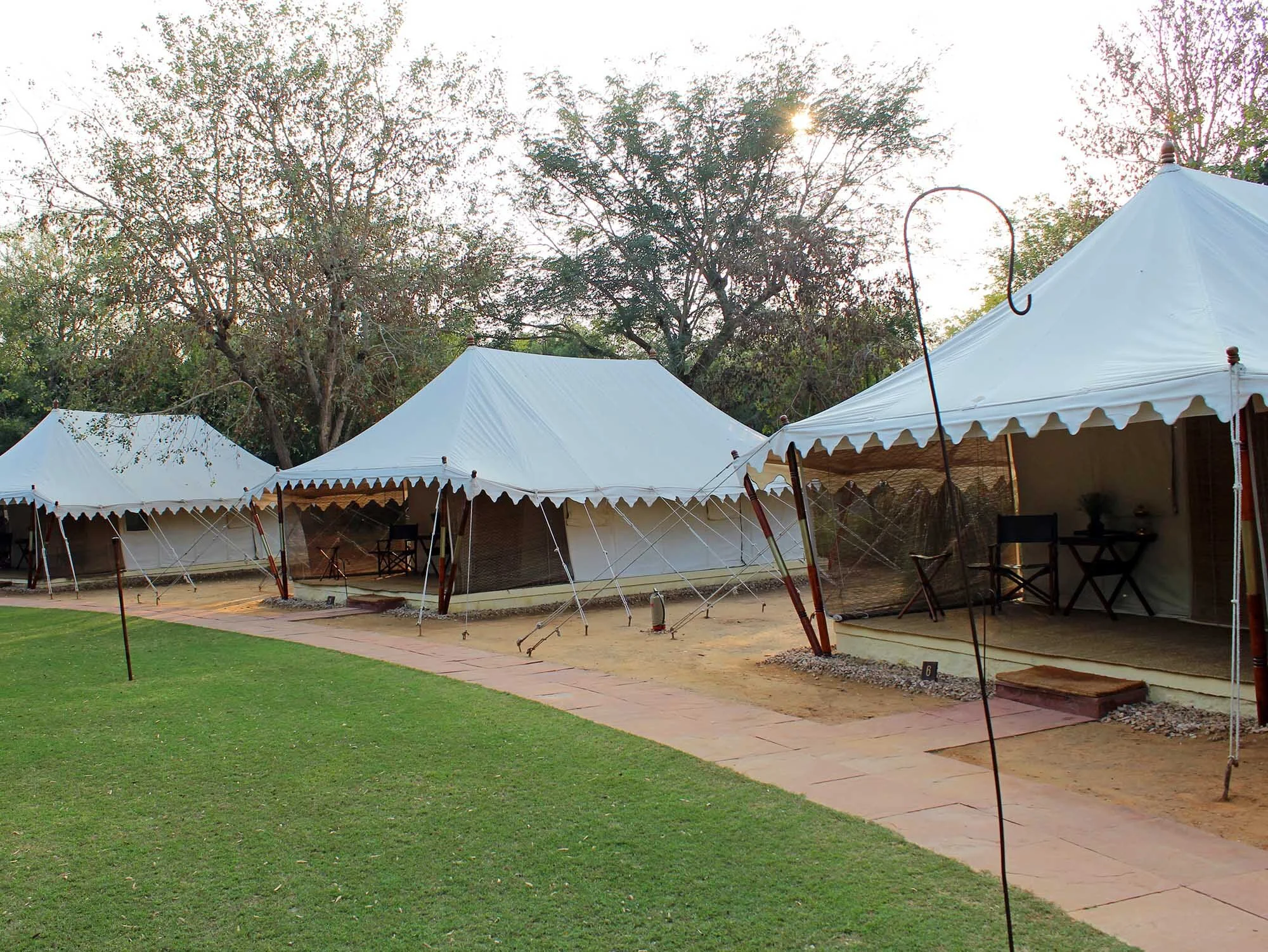 India Ranthambore Safari Travel