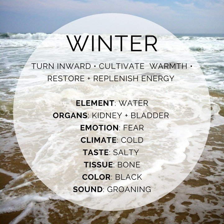 🌊 Winter Solstice + Preparing for the season ❄️ Read the winter newsletter via the link in bio!