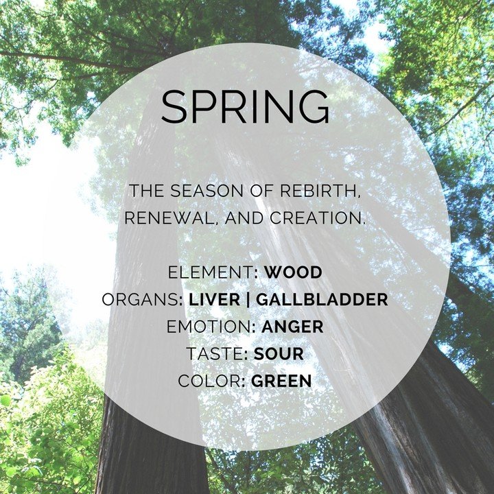 Welcome Spring 🌸 

EASY WAYS TO WORK WITH&nbsp;YOUR WOOD&nbsp;ENERGY

&nbsp;🥦&nbsp;&nbsp;Eat lighter meals with lots of green foods, cruciferous veggies and leafy and bitter greens (like dandelion greens, kale, chard, spinach) to invigorate the bod