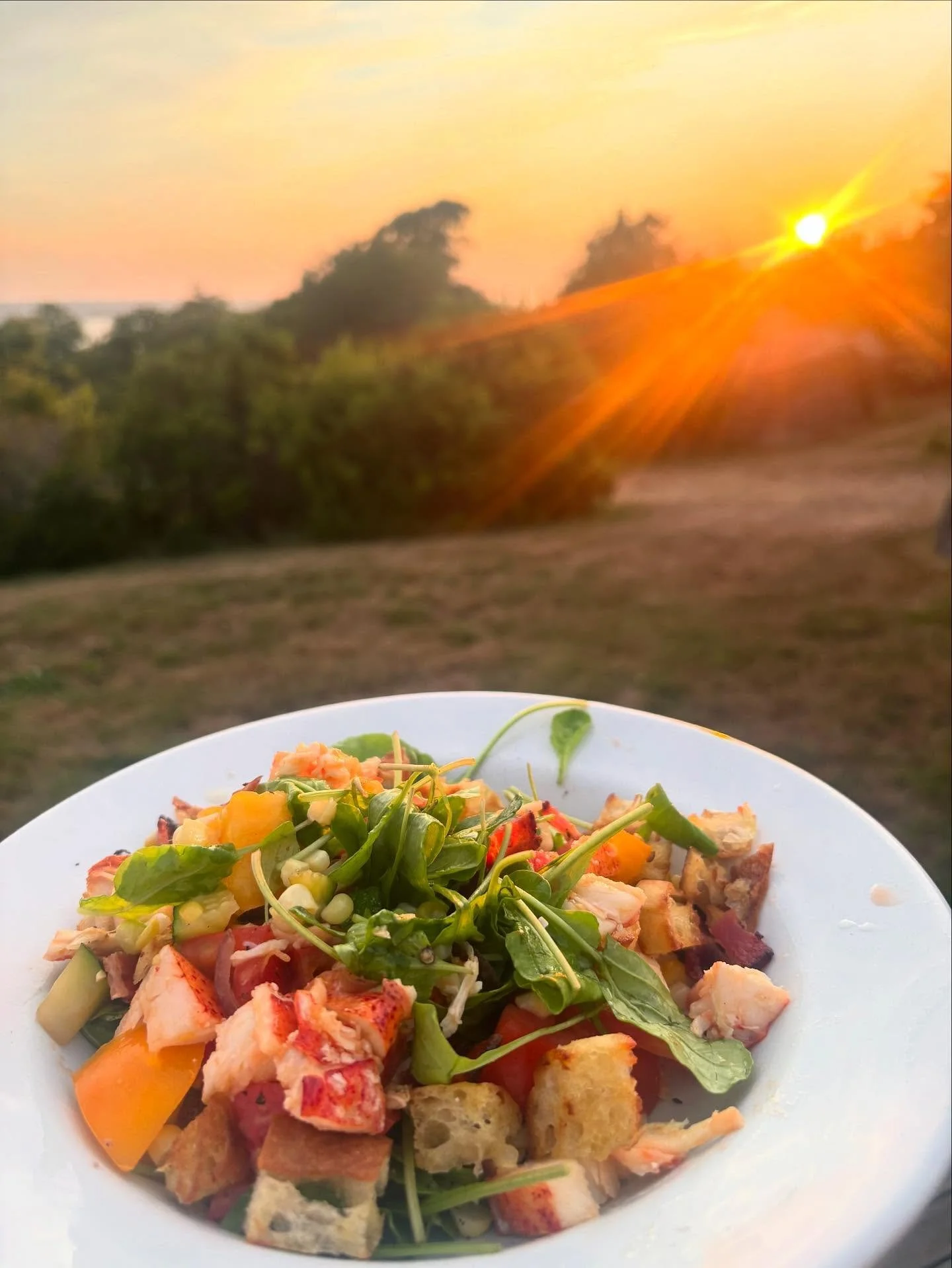 Only a few days left of vacation has me thinking about why I love it so much here. Part of it is the beauty of nature here and the delicious locally grown/cultivated produce, seafood, breads that I get to cook and eat. Here are a few of the meals I&r